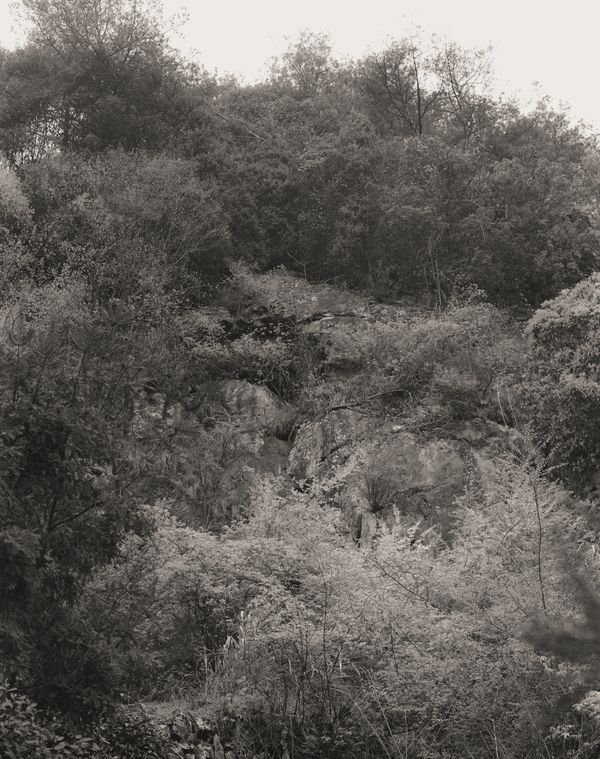 © difu shi - Image from the Inherited silence photography project