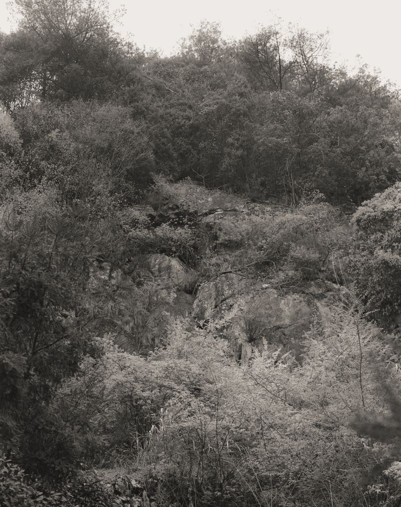 © difu shi - Image from the Inherited silence photography project
