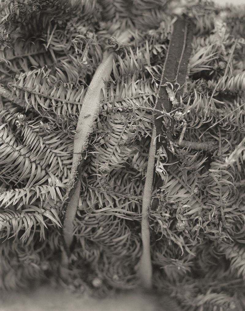 © difu shi - Image from the Inherited silence photography project