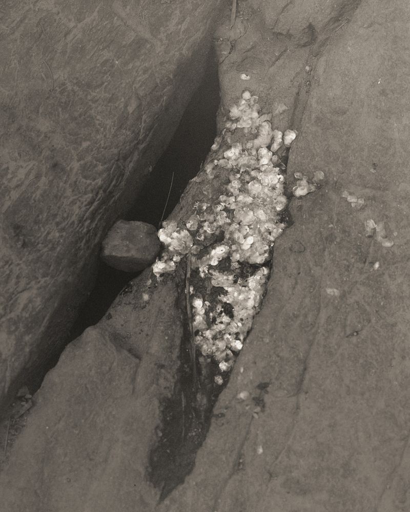 © difu shi - Image from the Inherited silence photography project