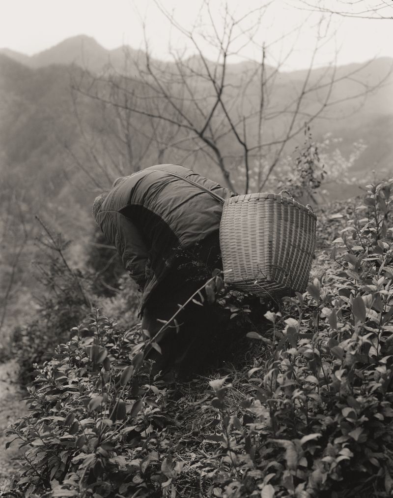 © difu shi - Image from the Inherited silence photography project