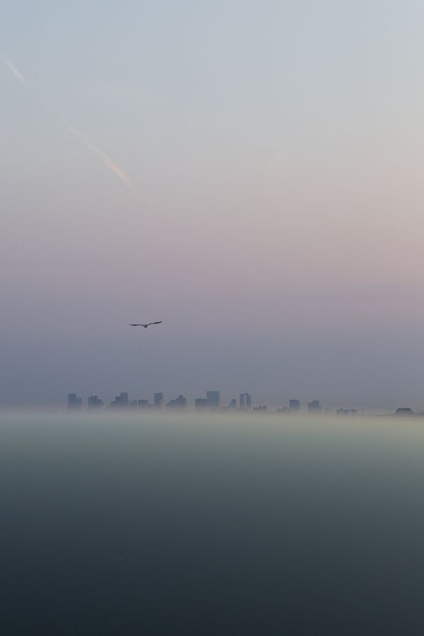 © Diego Navarro - Image from the AMANECE photography project
