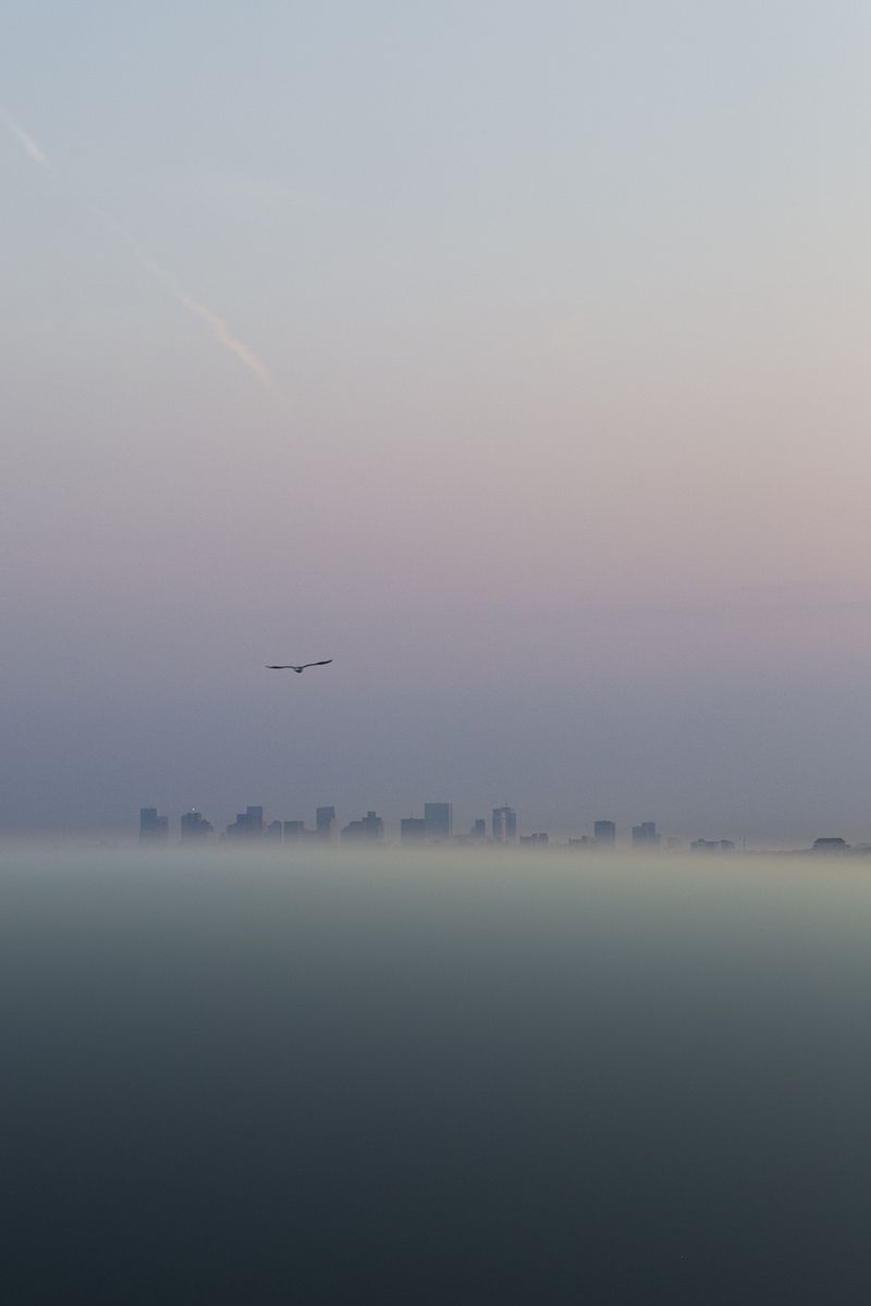 © Diego Navarro - Image from the AMANECE photography project
