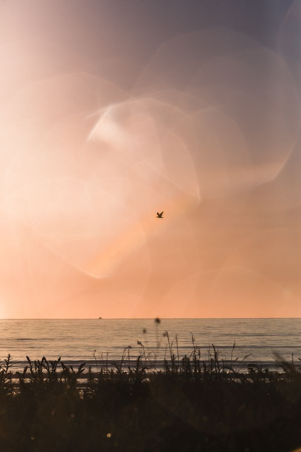 © Diego Navarro - Image from the AMANECE photography project