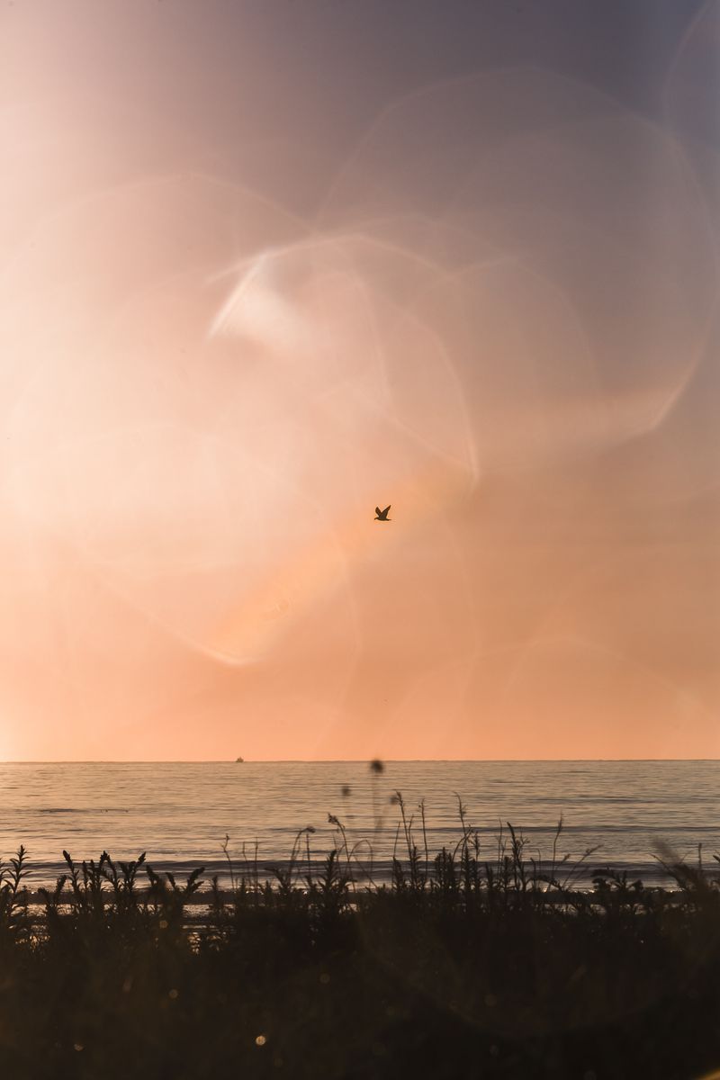 © Diego Navarro - Image from the AMANECE photography project