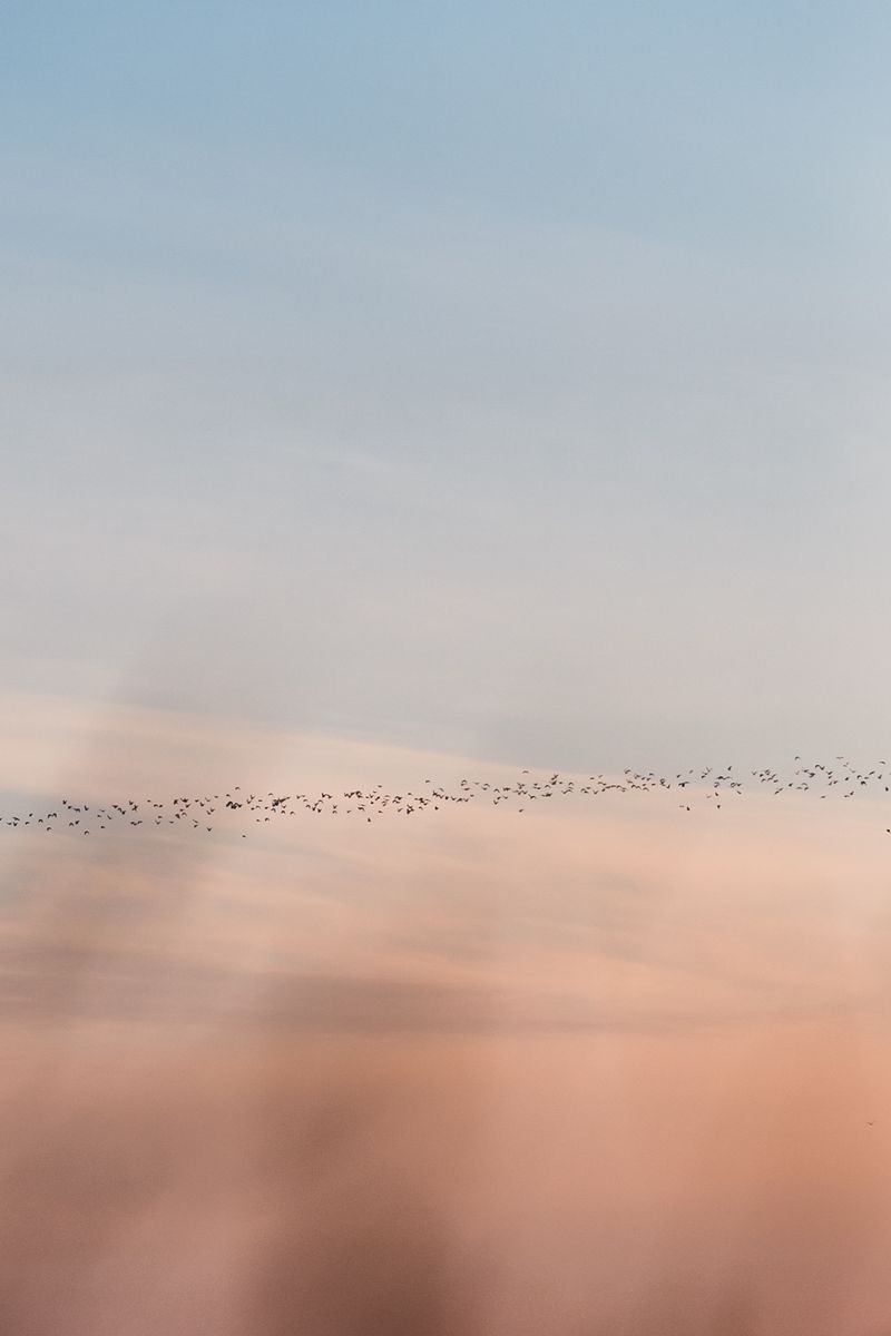© Diego Navarro - Image from the AMANECE photography project