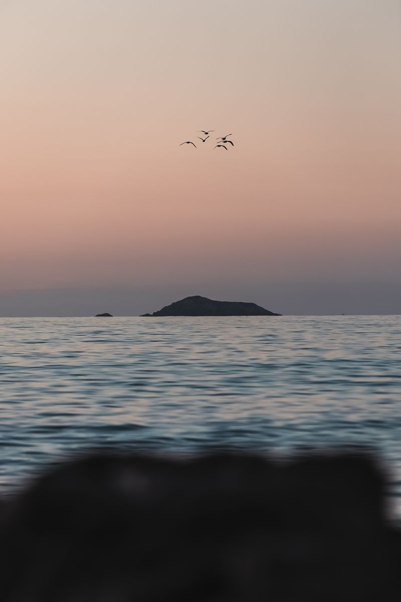 © Diego Navarro - Image from the AMANECE photography project