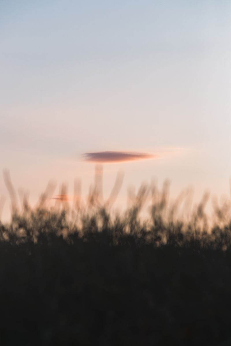 © Diego Navarro - Image from the AMANECE photography project