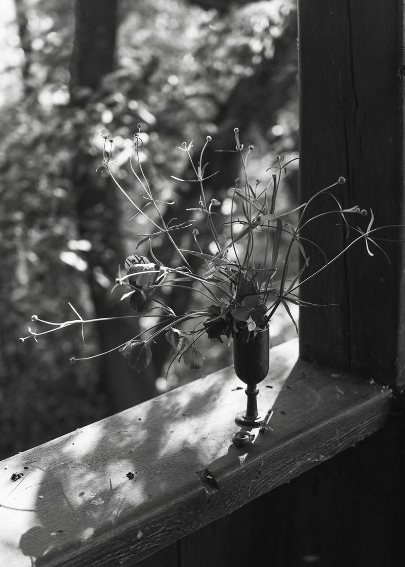 © Elena Khazina - Photo from series "The Fleeting", Ryazan, Russia, 2026, 9