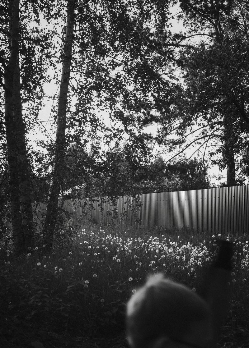 © Elena Khazina - Photo from series "The Fleeting", Ryazan, Russia, 2026, 15