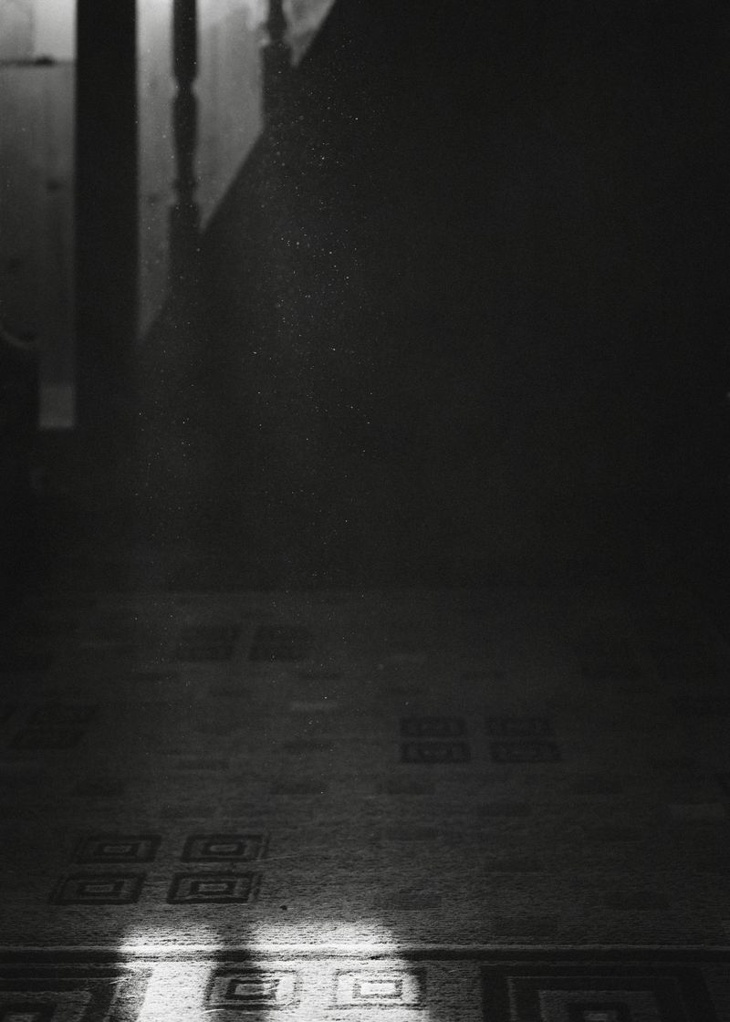 © Elena Khazina - Photo from series "The Fleeting", Ryazan, Russia, 2026, 12