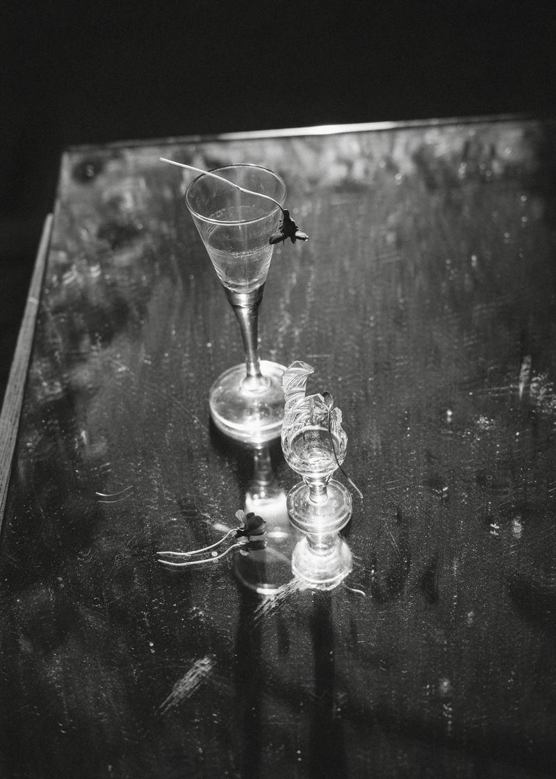 © Elena Khazina - Photo from series "The Fleeting", Ryazan, Russia, 2026, 6