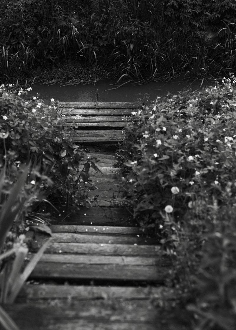 © Elena Khazina - Photo from series "The Fleeting", Ryazan, Russia, 2026, 14