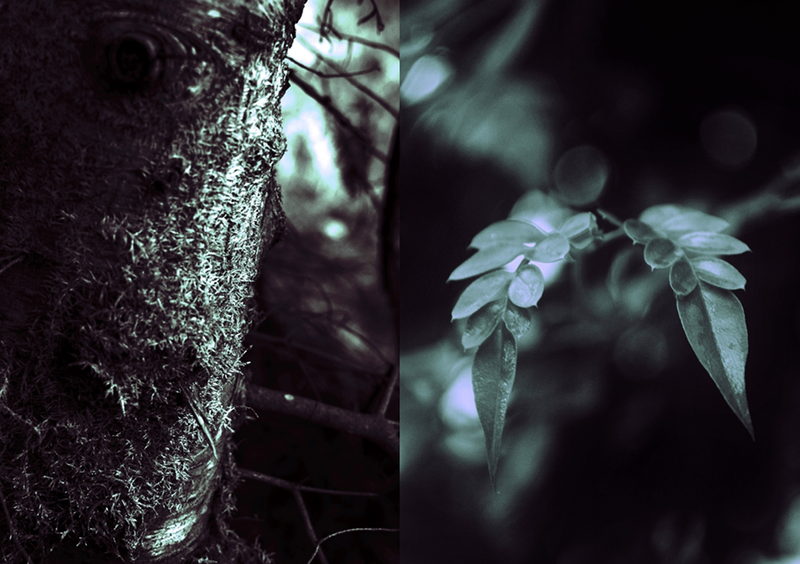 © María Eugenia Riccheri - Image from the Inner Landscape / Paisaje interior photography project