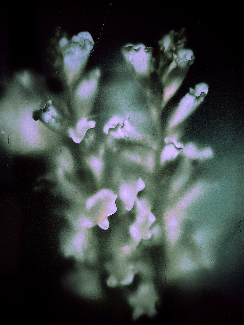 © María Eugenia Riccheri - Image from the Inner Landscape / Paisaje interior photography project