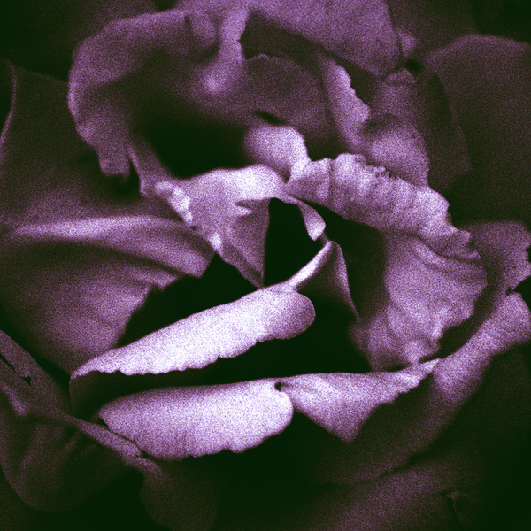 © María Eugenia Riccheri - Image from the Inner Landscape / Paisaje interior photography project