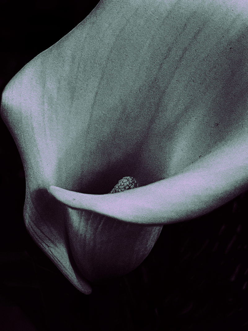 © María Eugenia Riccheri - Image from the Inner Landscape / Paisaje interior photography project