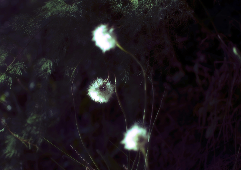 © María Eugenia Riccheri - Image from the Inner Landscape / Paisaje interior photography project
