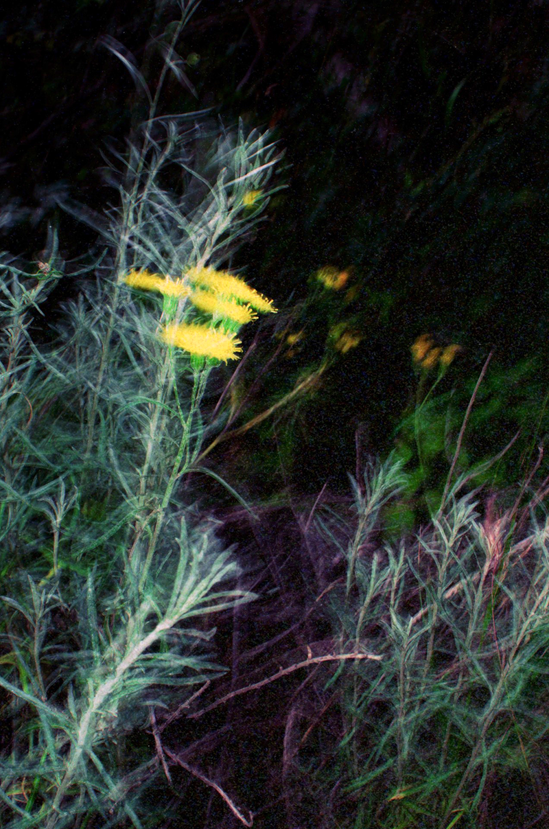 © María Eugenia Riccheri - Image from the Inner Landscape / Paisaje interior photography project