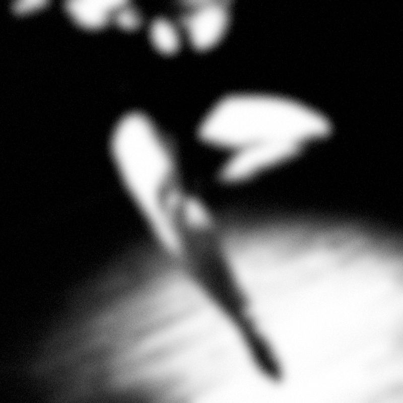 © Ben Rawman - Image from the BLUR photography project