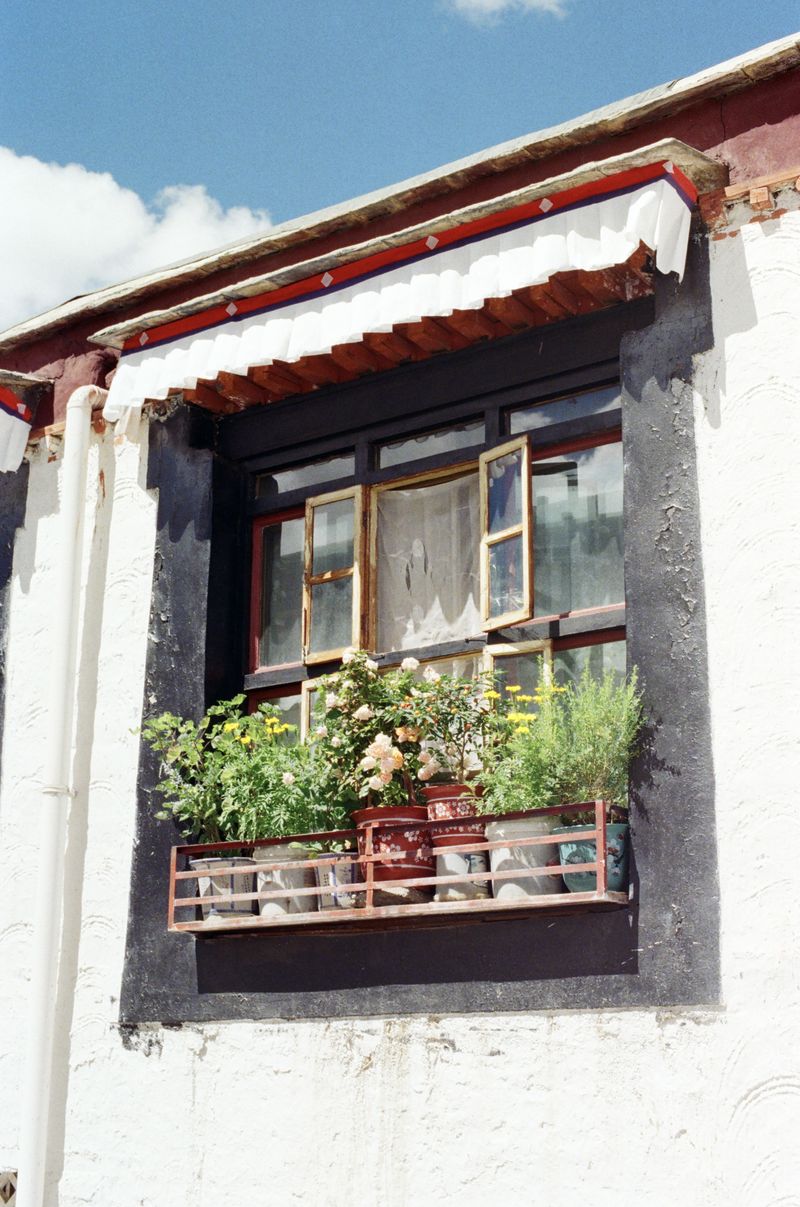 © zimo yang - Image from the Of Tibet photography project