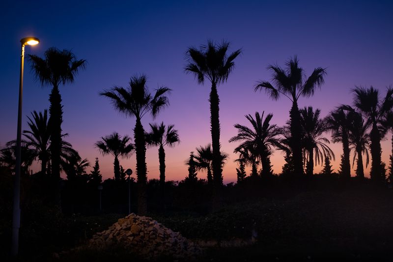 © Jan Brouckaert - Image from the Tunisia, where the Land breaks into Memory photography project
