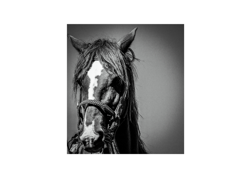 © Jess Henrich - Image from the FARAS The Africa Chapters photography project