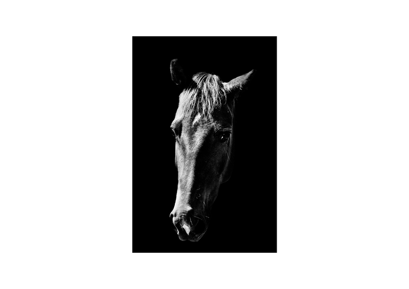 © Jess Henrich - Image from the FARAS The Africa Chapters photography project