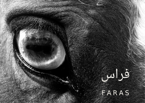 FARAS The Africa Chapters