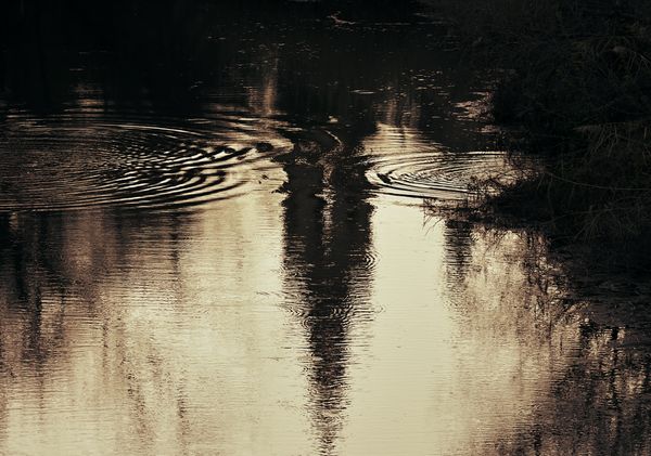 © Miguel M. Barbera - The Spire Reflection