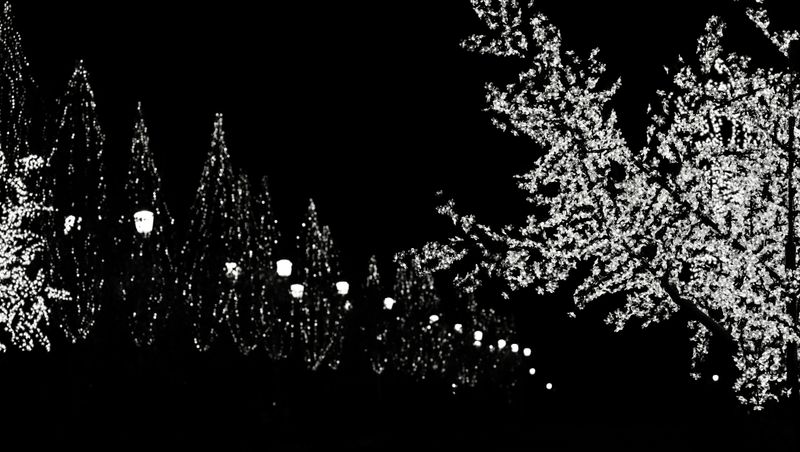 © Miguel M. Barbera - Christmas Carol