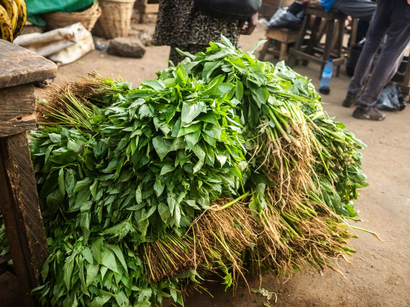 © Adegoke Kolawole - The GreenFreshly cut vegetable leaves stacked for sale, their roots still attached, Bodija Market, Ibadan, 2025.