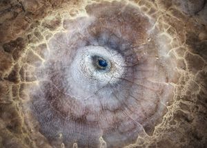 The Nature Photography Contest 2026