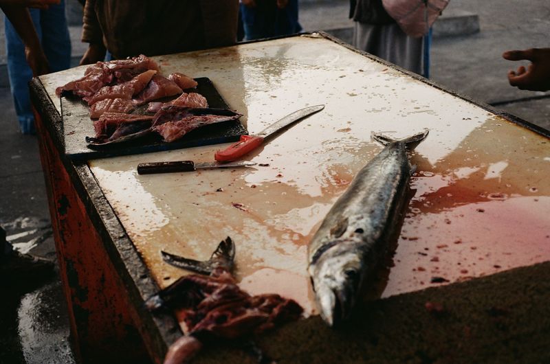 © Celeste Jacobs - The catch of the day is prepared, 2026