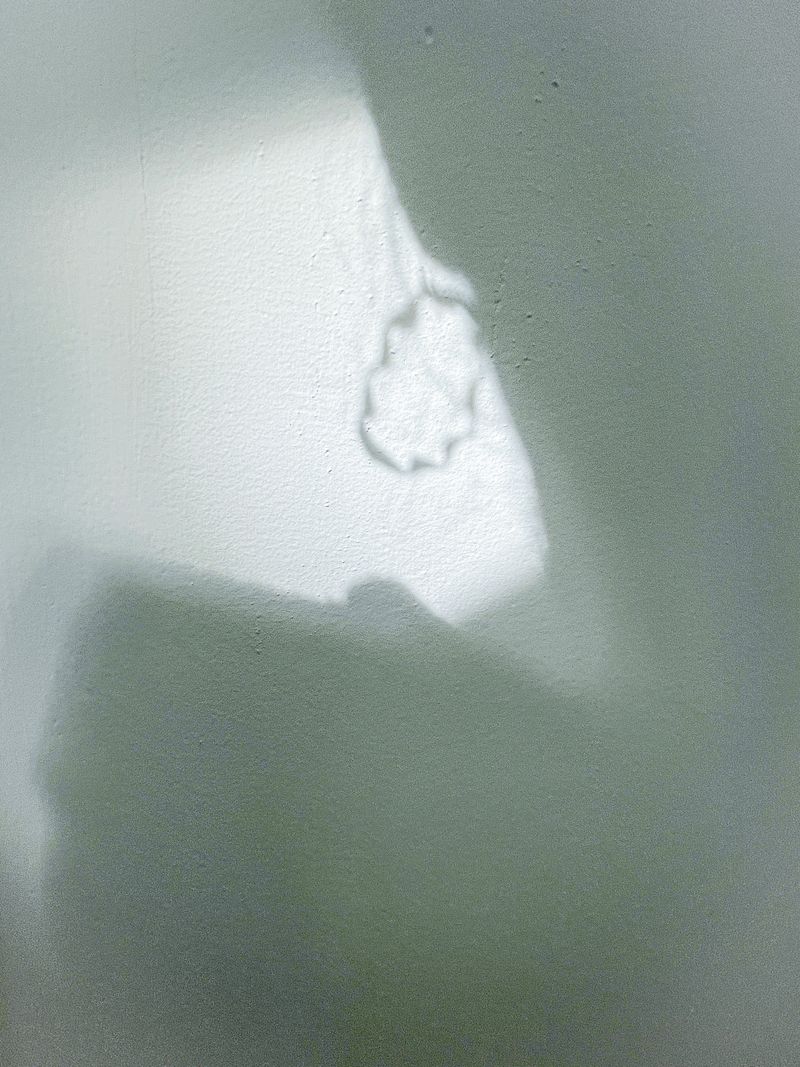 © Bridget Jourgensen - Image from the Homeshadows photography project