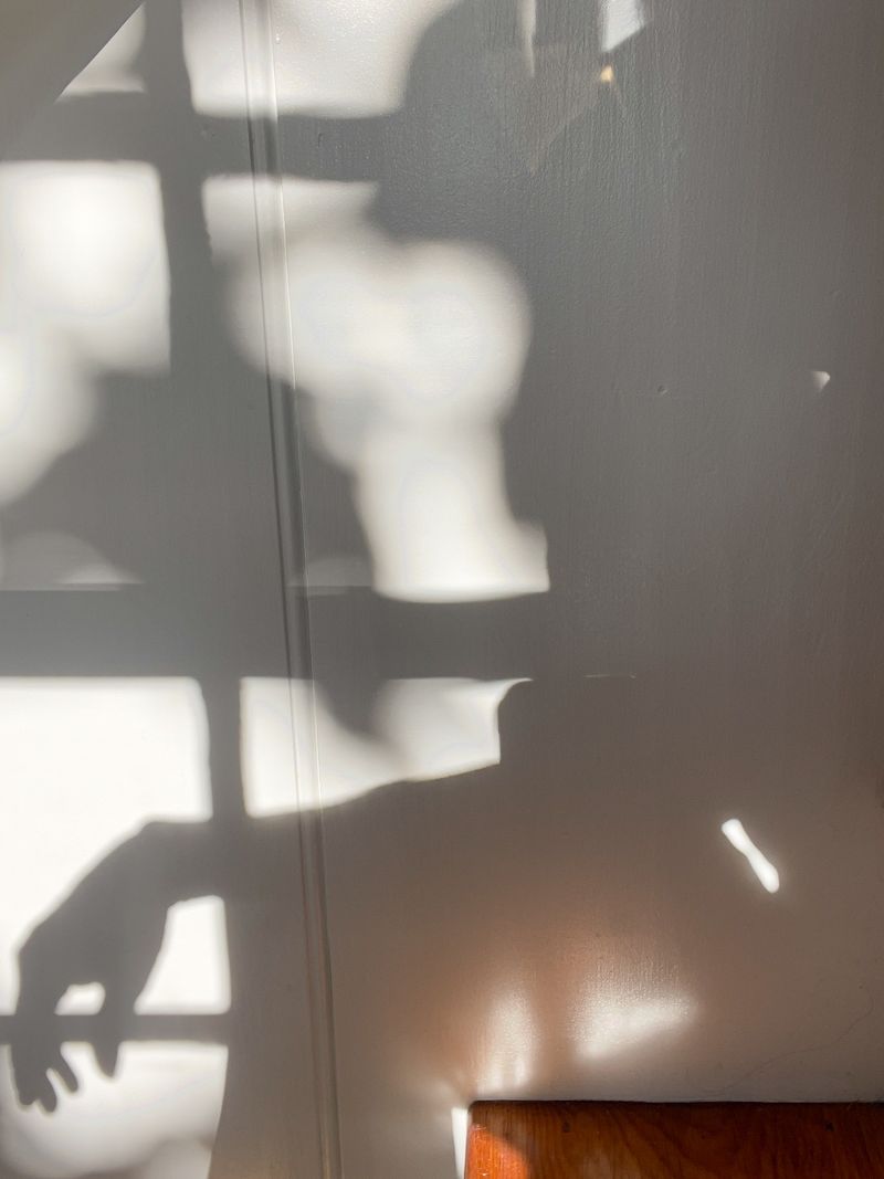 © Bridget Jourgensen - Image from the Homeshadows photography project