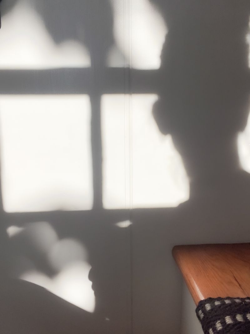 © Bridget Jourgensen - Image from the Homeshadows photography project