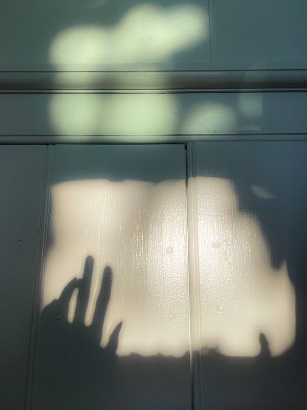 © Bridget Jourgensen - Image from the Homeshadows photography project