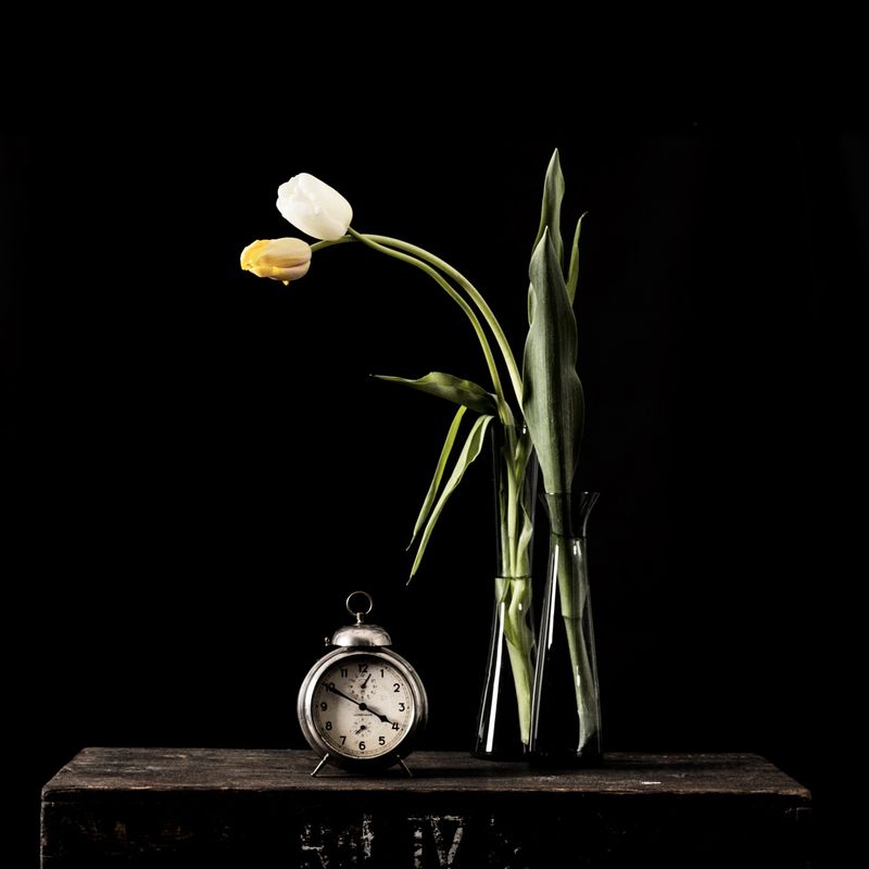 Image from a project on PhMuseum