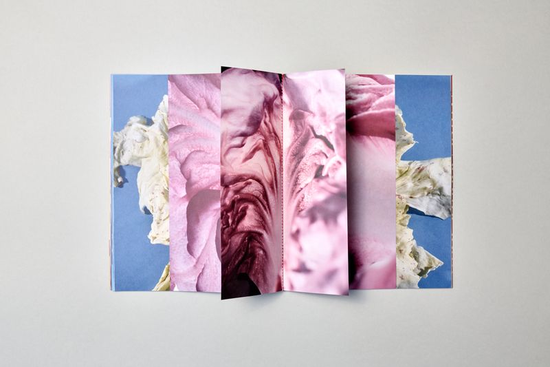 Image from a project on PhMuseum