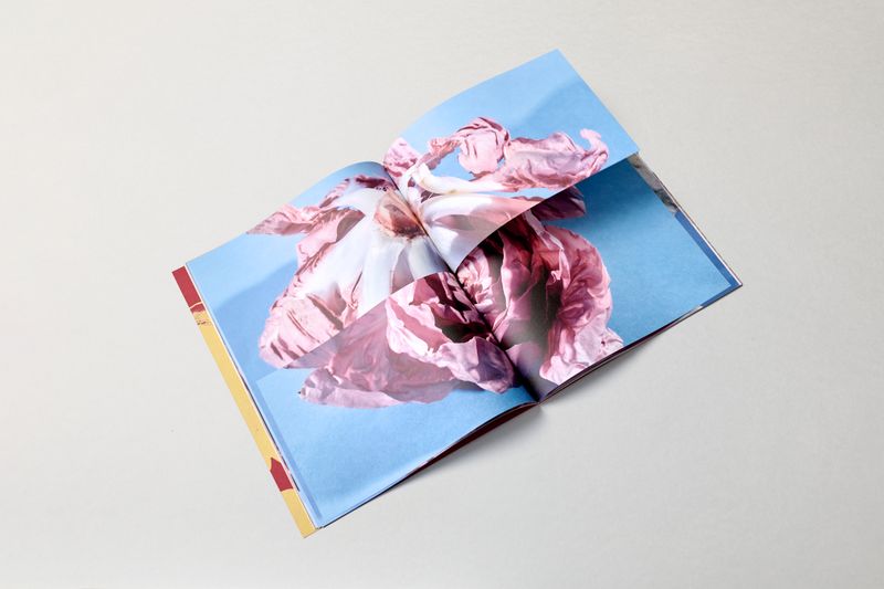 Image from a project on PhMuseum