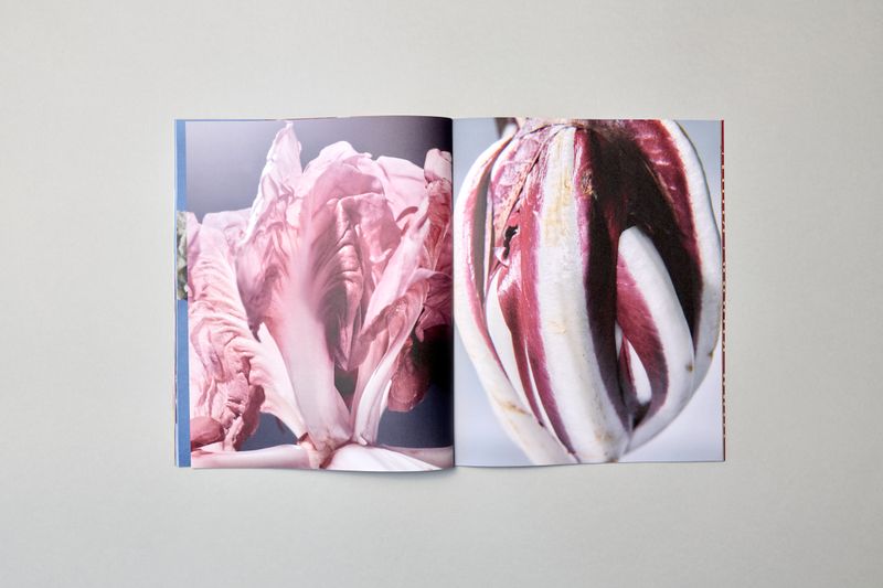 Image from a project on PhMuseum