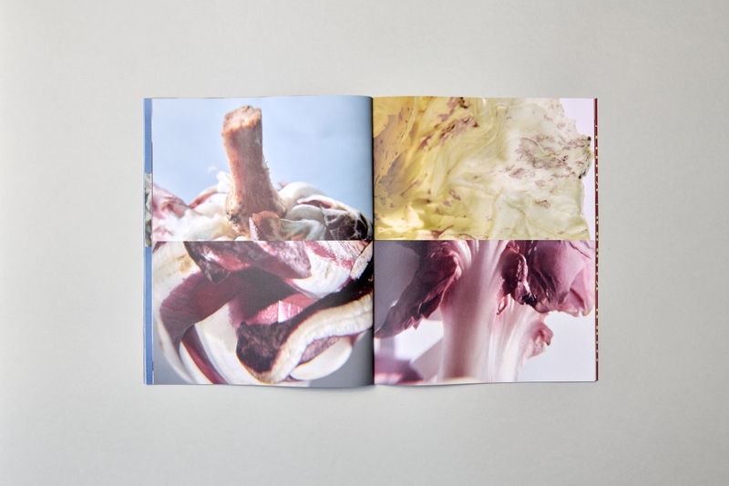Image from a project on PhMuseum