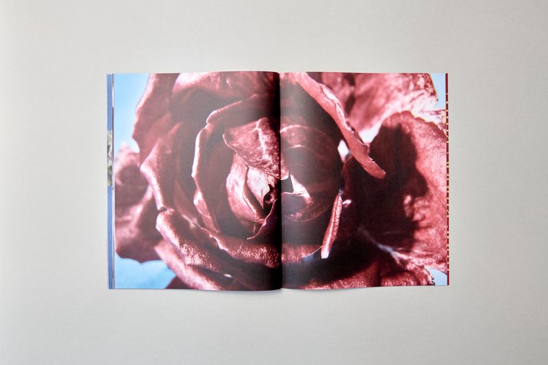 Image from a project on PhMuseum