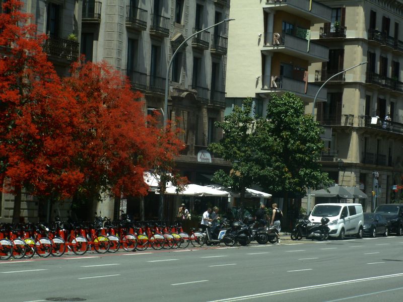 © SMS - Image from the España photography project