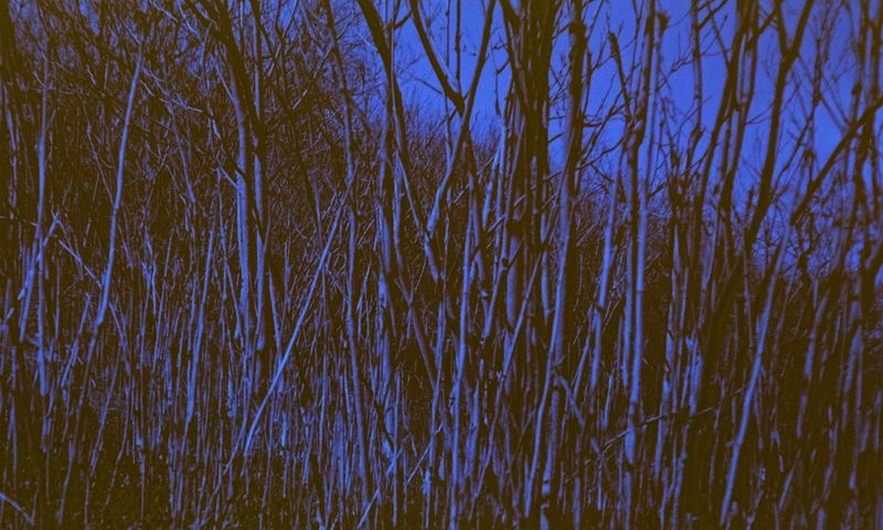 © Tanya Podubienko - Image from the The Skin Around Me photography project