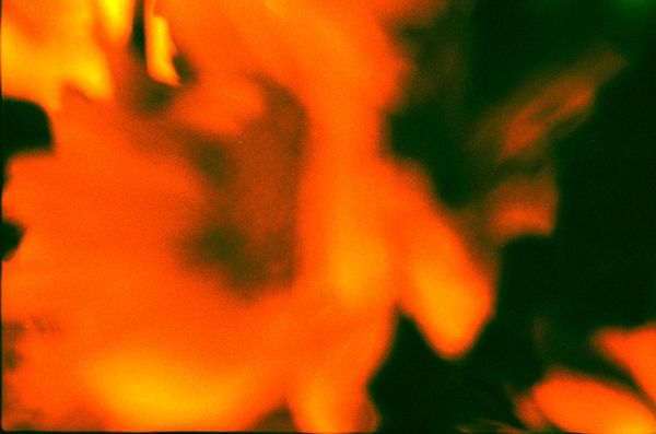 © Tanya Podubienko - Image from the The Skin Around Me photography project