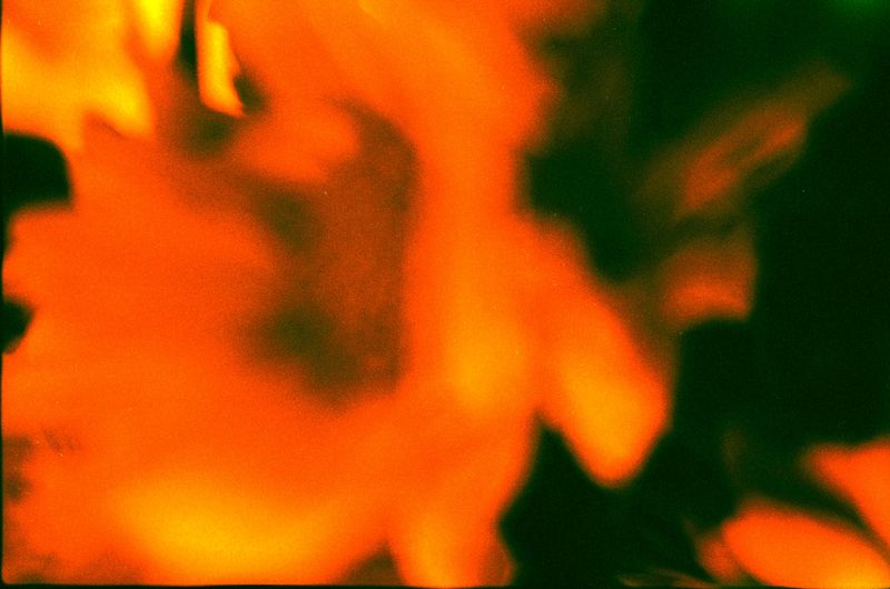 © Tanya Podubienko - Image from the The Skin Around Me photography project