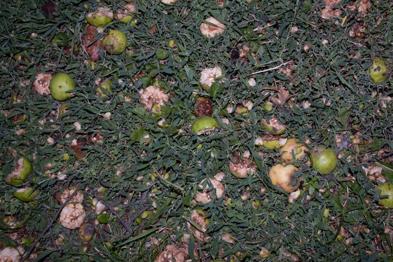 © Tanya Podubienko - Image from the The Soft Shelter photography project