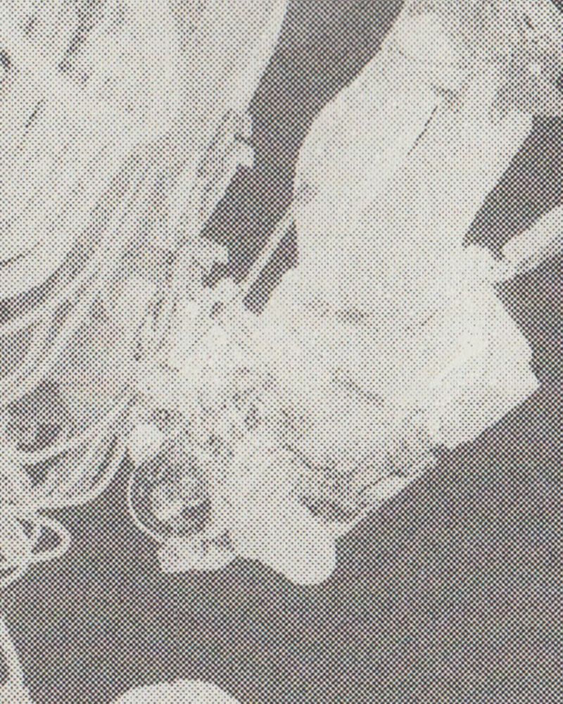 Image from a project on PhMuseum